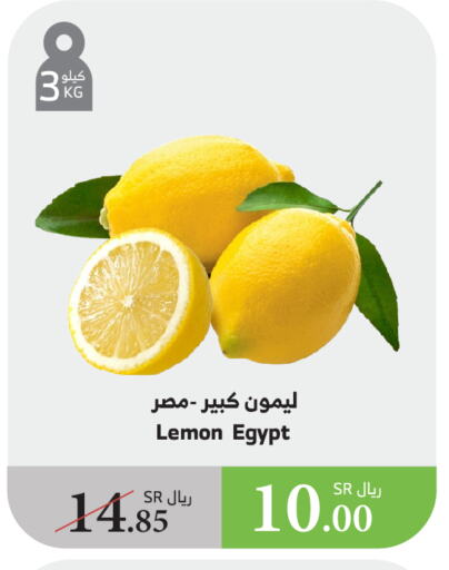 Lemon from Egypt available at الراية in مملكة العربية السعودية, السعودية, سعودية - ينبع