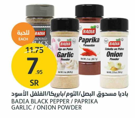 Garlic Paprika Onion Pepper available at AlJazera Shopping Center in KSA, Saudi Arabia, Saudi - Riyadh