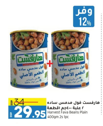 Fava Beans available at Lulu Hypermarket  in Egypt - Cairo