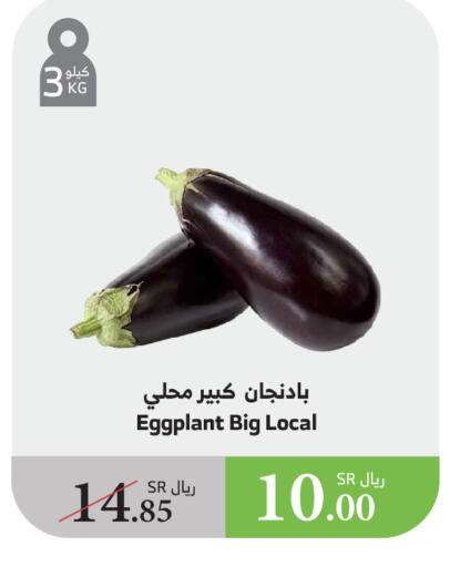 Eggplant available at الراية in مملكة العربية السعودية, السعودية, سعودية - الطائف