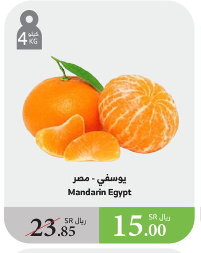 برتقال from Egypt available at الراية in مملكة العربية السعودية, السعودية, سعودية - بيشة