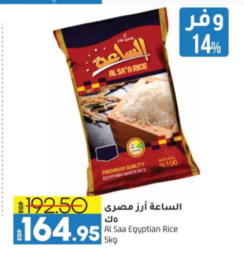 Calrose Rice available at Lulu Hypermarket  in Egypt - Cairo