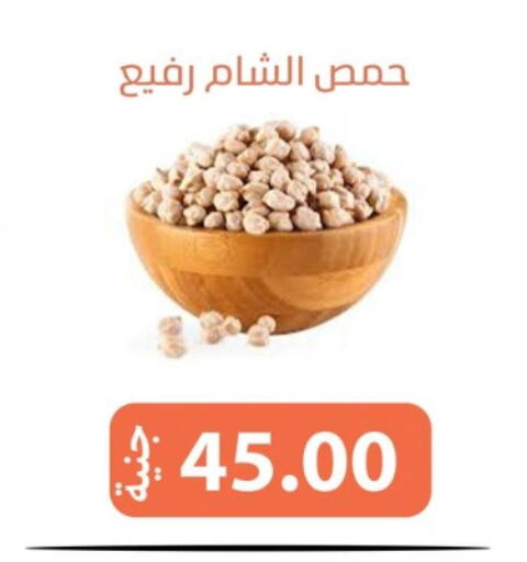 available at سوق غلاب in Egypt - القاهرة