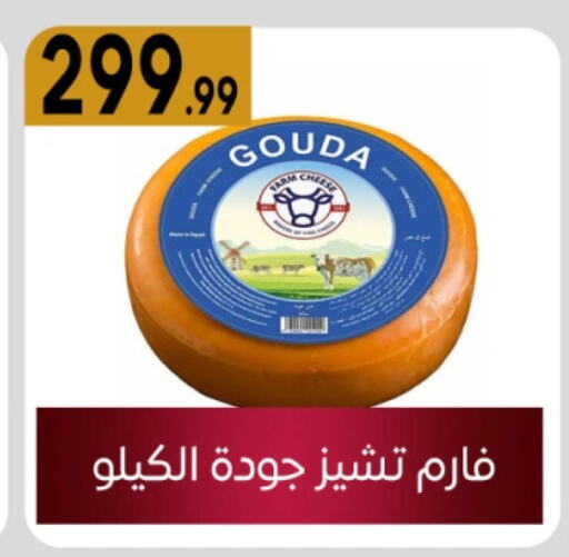 Gouda available at El mhallawy Sons in Egypt - Cairo