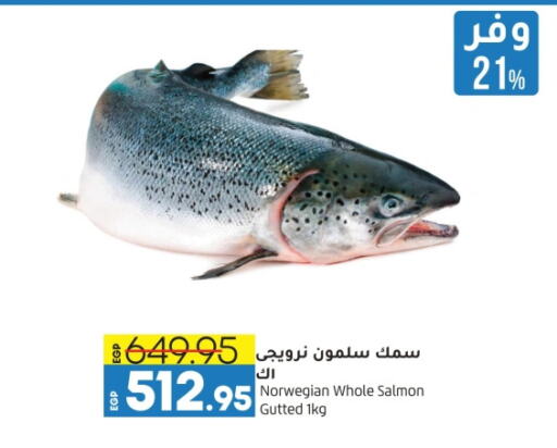 available at Lulu Hypermarket  in Egypt - Cairo