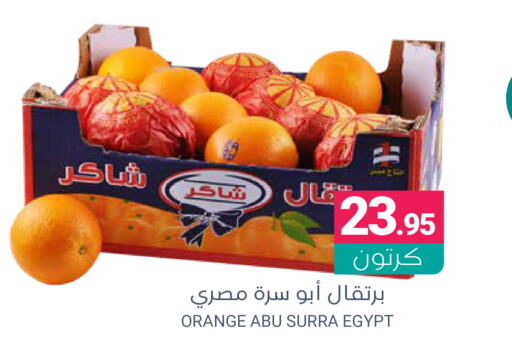 برتقال from Egypt available at اسواق المنتزه in مملكة العربية السعودية, السعودية, سعودية - القطيف‎