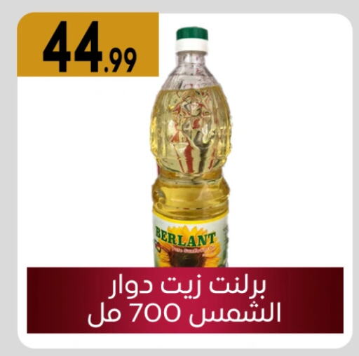 Sunflower Oil available at El mhallawy Sons in Egypt - Cairo