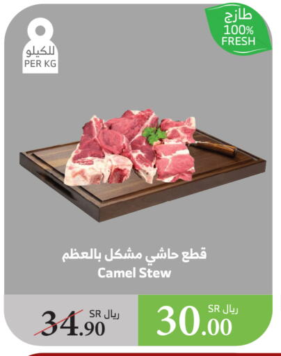 Camel meat available at Al Raya in KSA, Saudi Arabia, Saudi - Jazan