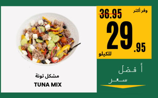 Tuna - Canned available at Al Basma Al Khalida Markets in KSA, Saudi Arabia, Saudi - Khamis Mushait