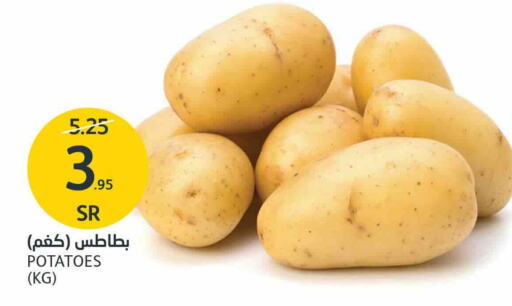 Potato available at AlJazera Shopping Center in KSA, Saudi Arabia, Saudi - Riyadh