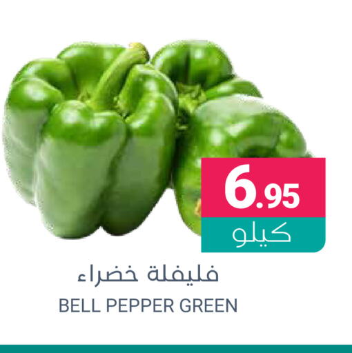 Chilli / Capsicum available at Muntazah Markets in KSA, Saudi Arabia, Saudi - Saihat