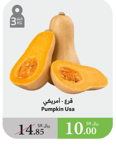 Pumpkin available at الراية in مملكة العربية السعودية, السعودية, سعودية - الطائف