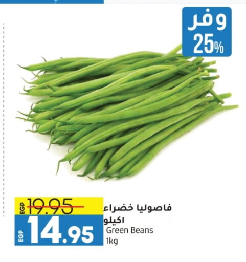 Beans available at Lulu Hypermarket  in Egypt - Cairo