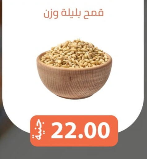 available at سوق غلاب in Egypt - القاهرة