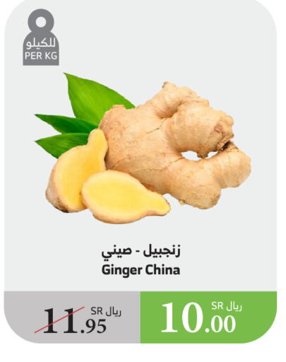 زنجبيل from China available at الراية in مملكة العربية السعودية, السعودية, سعودية - تبوك