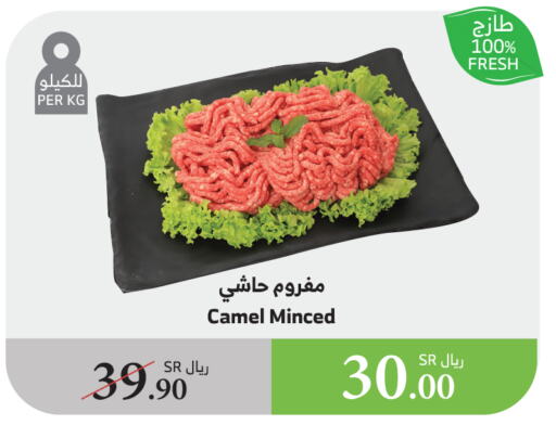 available at الراية in مملكة العربية السعودية, السعودية, سعودية - الطائف