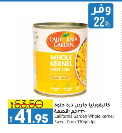 HEINZ available at Lulu Hypermarket  in Egypt - Cairo