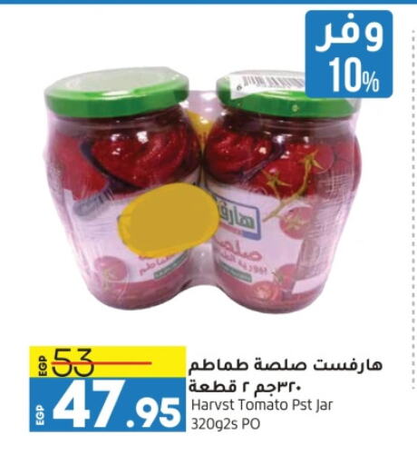 Tomato available at Lulu Hypermarket  in Egypt - Cairo