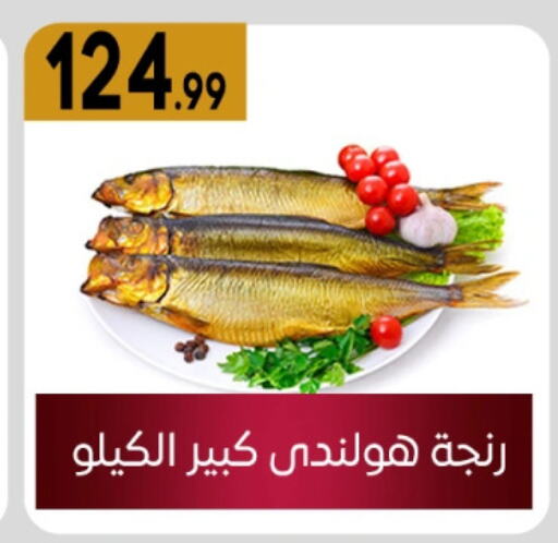 available at أولاد المحاوى in Egypt - القاهرة