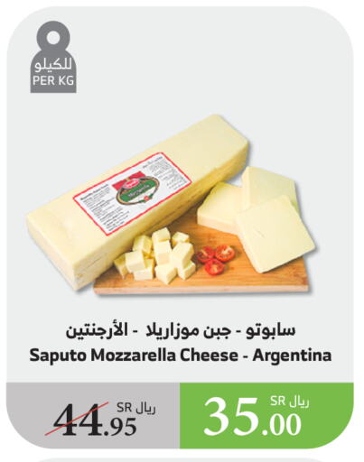 موزاريلا available at الراية in مملكة العربية السعودية, السعودية, سعودية - الطائف