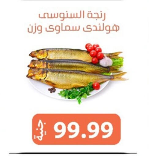 available at سوق غلاب in Egypt - القاهرة