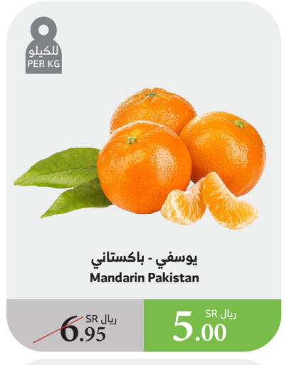 Orange from Pakistan available at Al Raya in KSA, Saudi Arabia, Saudi - Yanbu