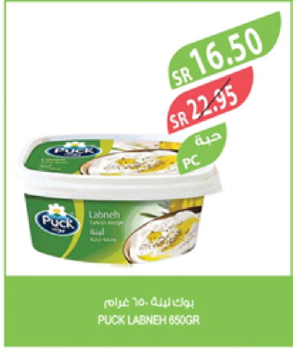 PUCK Labneh available at Farm  in KSA, Saudi Arabia, Saudi - Al-Kharj