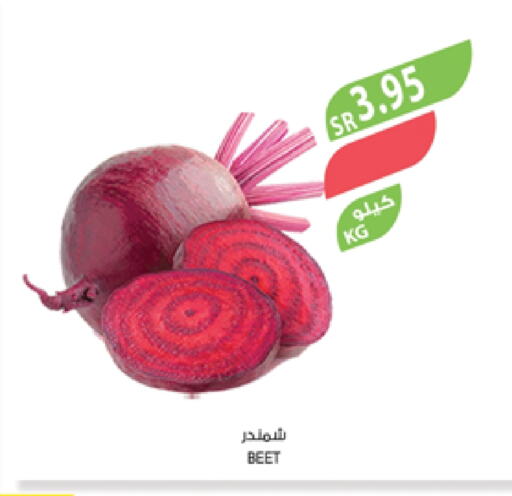 Beetroot available at Farm  in KSA, Saudi Arabia, Saudi - Najran