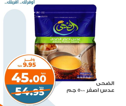 available at كازيون in Egypt - القاهرة