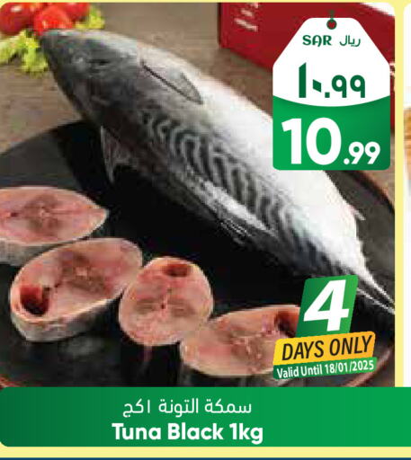 تونة available at ستي فلاور in مملكة العربية السعودية, السعودية, سعودية - سكاكا