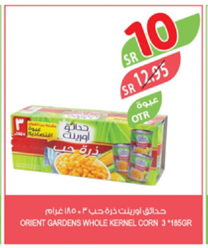 available at المزرعة in مملكة العربية السعودية, السعودية, سعودية - تبوك