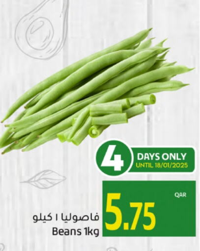 فاصوليا available at جلف فود سنتر in قطر - الضعاين