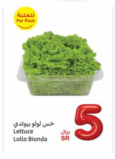 Lettuce available at Othaim Markets in KSA, Saudi Arabia, Saudi - Rafha