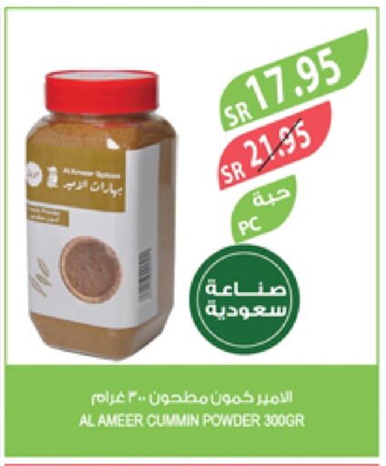 Spices available at Farm  in KSA, Saudi Arabia, Saudi - Al-Kharj