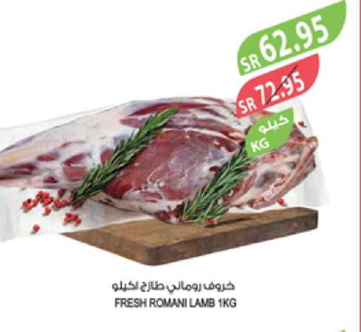 Mutton / Lamb available at Farm  in KSA, Saudi Arabia, Saudi - Najran