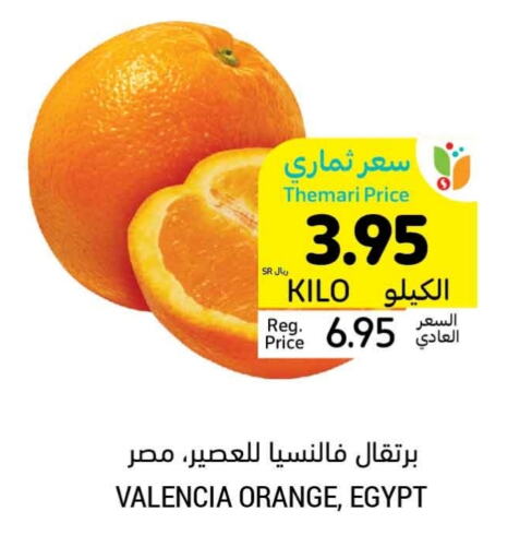 Orange from Egypt available at Tamimi Market in KSA, Saudi Arabia, Saudi - Medina