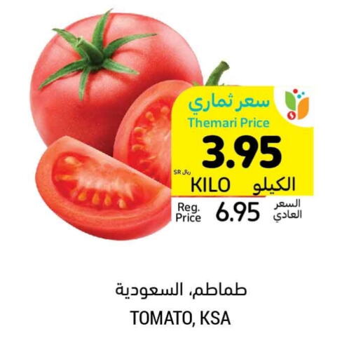 Tomato available at Tamimi Market in KSA, Saudi Arabia, Saudi - Buraidah