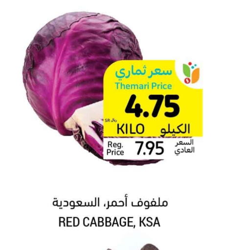 Cabbage available at Tamimi Market in KSA, Saudi Arabia, Saudi - Tabuk