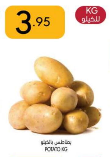 Potato available at Manuel Market in KSA, Saudi Arabia, Saudi - Riyadh