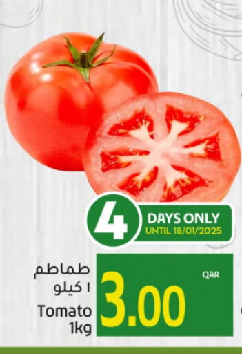 Tomato available at Gulf Food Center in Qatar - Al Wakra