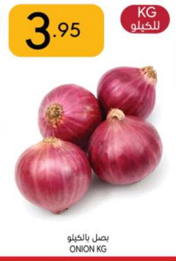 Onion available at Manuel Market in KSA, Saudi Arabia, Saudi - Riyadh