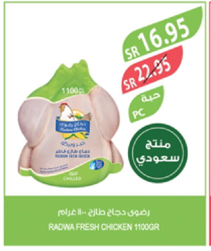 Fresh Whole Chicken available at Farm  in KSA, Saudi Arabia, Saudi - Sakaka