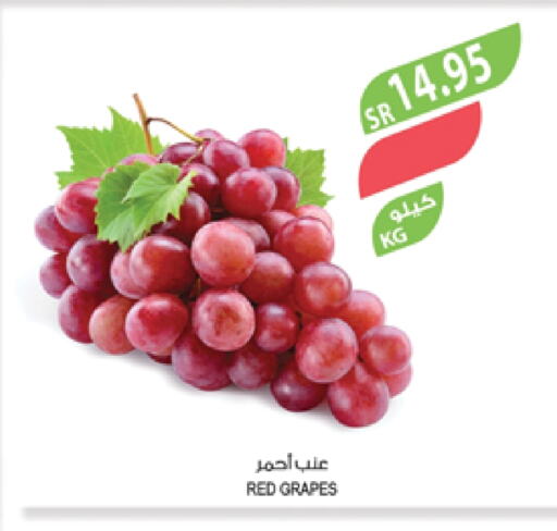 Grapes available at Farm  in KSA, Saudi Arabia, Saudi - Yanbu