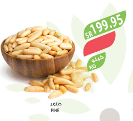 available at Farm  in KSA, Saudi Arabia, Saudi - Yanbu