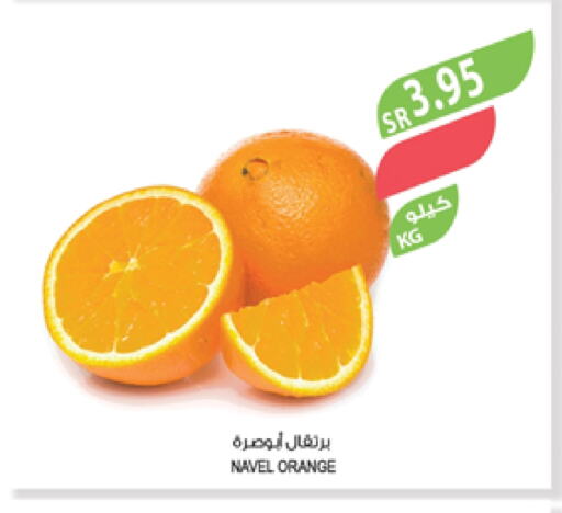 Orange available at Farm  in KSA, Saudi Arabia, Saudi - Yanbu