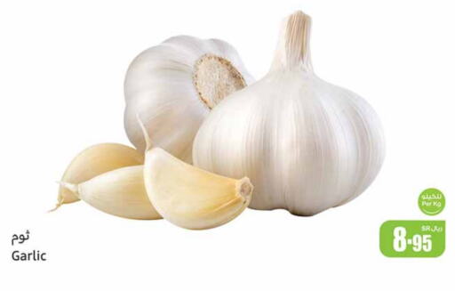 Garlic available at Othaim Markets in KSA, Saudi Arabia, Saudi - Rafha