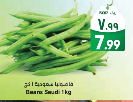 فاصوليا from Saudi Arabia available at ستي فلاور in مملكة العربية السعودية, السعودية, سعودية - حائل‎