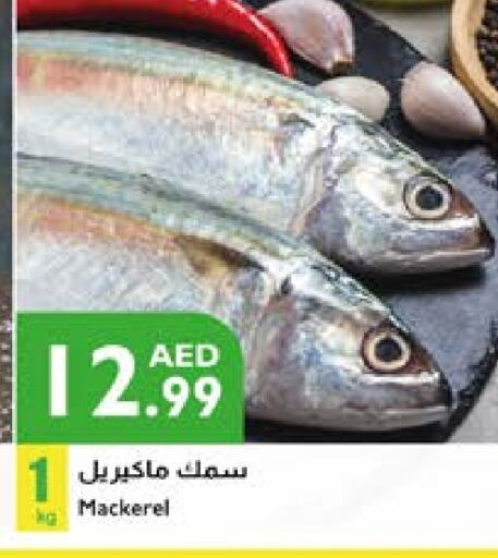 available at Istanbul Supermarket in UAE - Al Ain