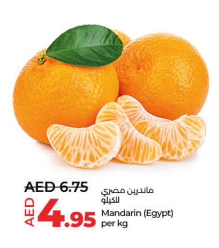 Orange from Egypt available at Lulu Hypermarket in UAE - Umm al Quwain