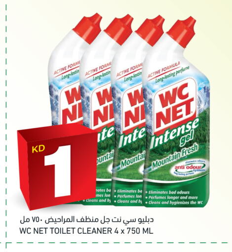 Toilet / Drain Cleaner available at Gulfmart in Kuwait - Ahmadi Governorate